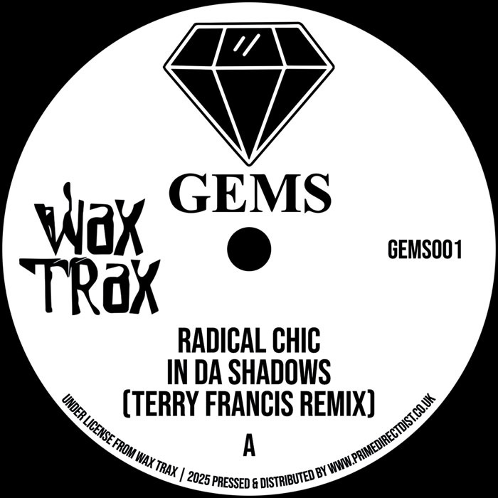 Radical Chic / Space Bunny — In Da Shadows (Terry Francis Remix) / The Key (Wax Trax Remix) artwork