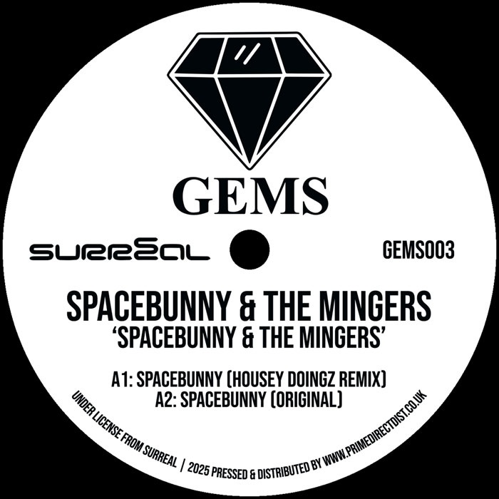 Spacebunny / The Mingers — Spacebunny / Fancy A Shag artwork