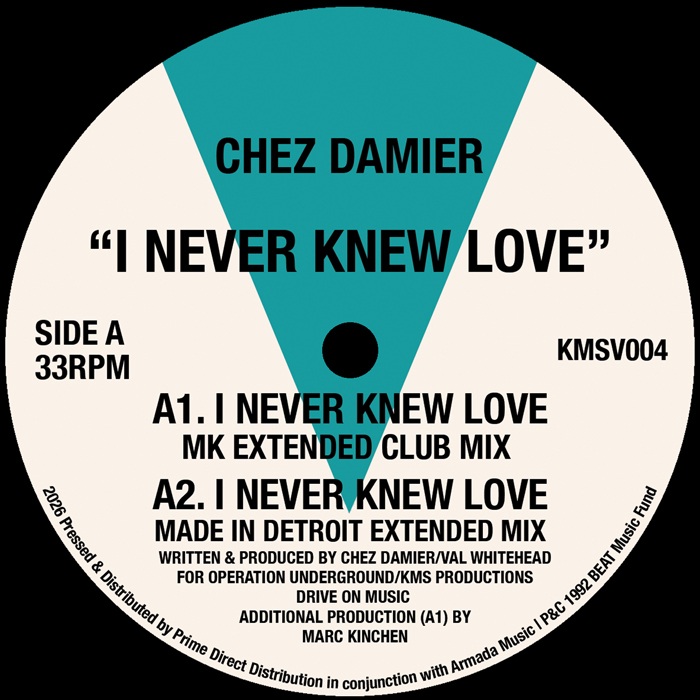 Chez Damier — I Never Knew Love artwork