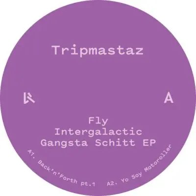 Tripmastaz — Fly Intergalactic Gangsta Schitt artwork